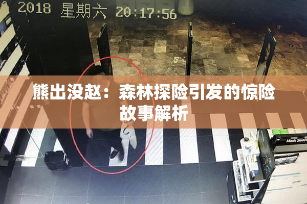 熊出没赵：森林探险引发的惊险故事解析