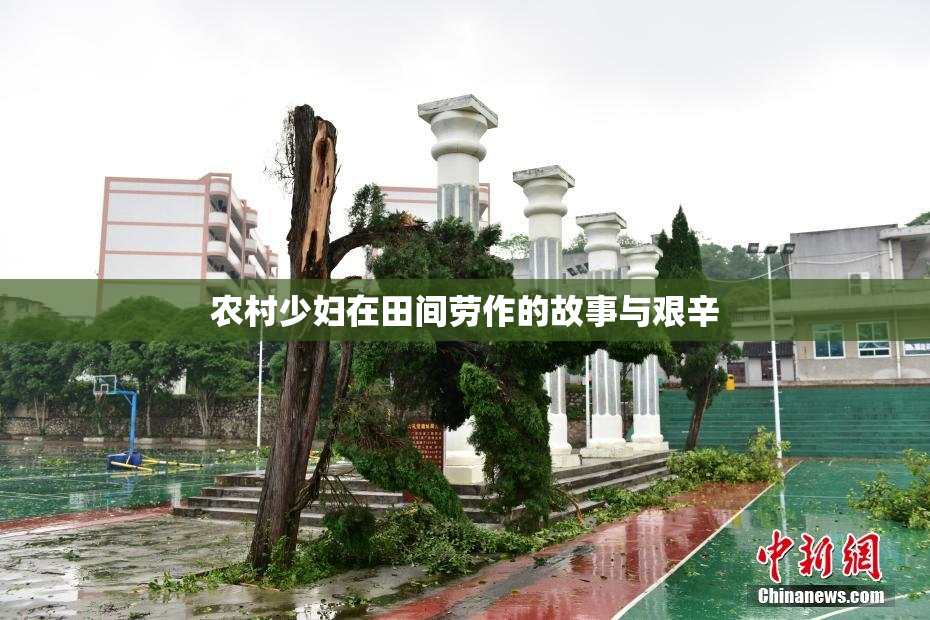 农村少妇在田间劳作的故事与艰辛