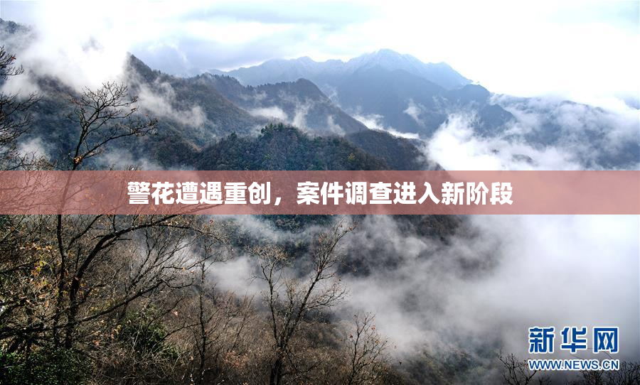 警花遭遇重创，案件调查进入新阶段