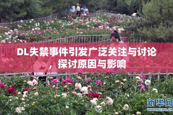 DL失禁事件引发广泛关注与讨论，探讨原因与影响