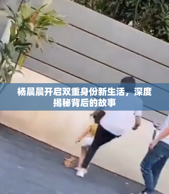 杨晨晨开启双重身份新生活，深度揭秘背后的故事