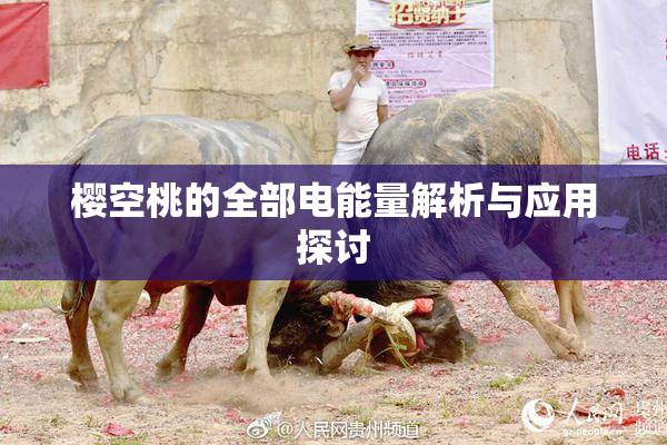 樱空桃的全部电能量解析与应用探讨