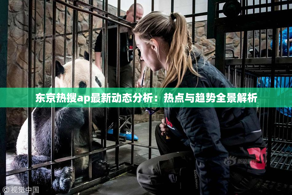 东京热搜ap最新动态分析：热点与趋势全景解析