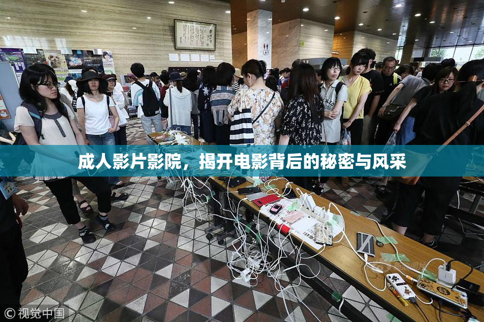 成人影片影院，揭开电影背后的秘密与风采