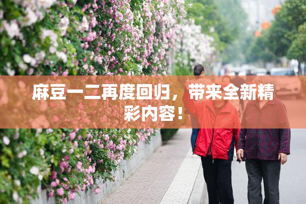 麻豆一二再度回归，带来全新精彩内容！