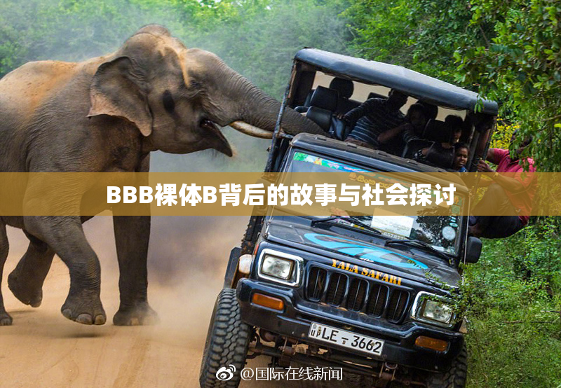 BBB裸体B背后的故事与社会探讨