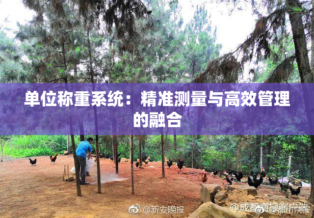单位称重系统：精准测量与高效管理的融合