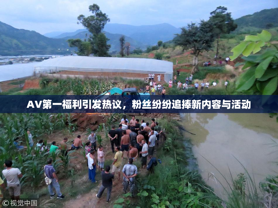 AV第一福利引发热议，粉丝纷纷追捧新内容与活动