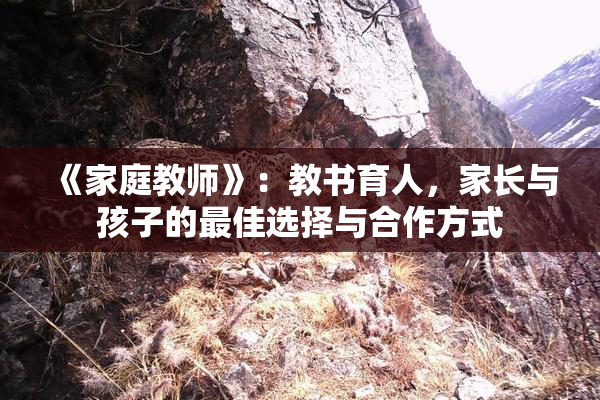 《家庭教师》：教书育人，家长与孩子的最佳选择与合作方式