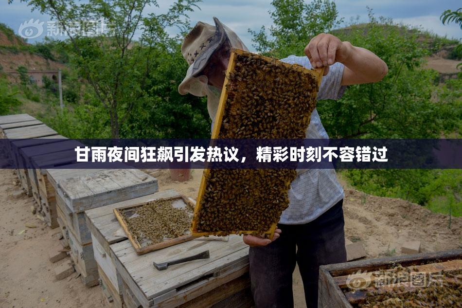甘雨夜间狂飙引发热议，精彩时刻不容错过