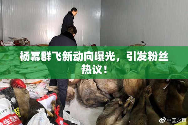 杨幂群飞新动向曝光，引发粉丝热议！