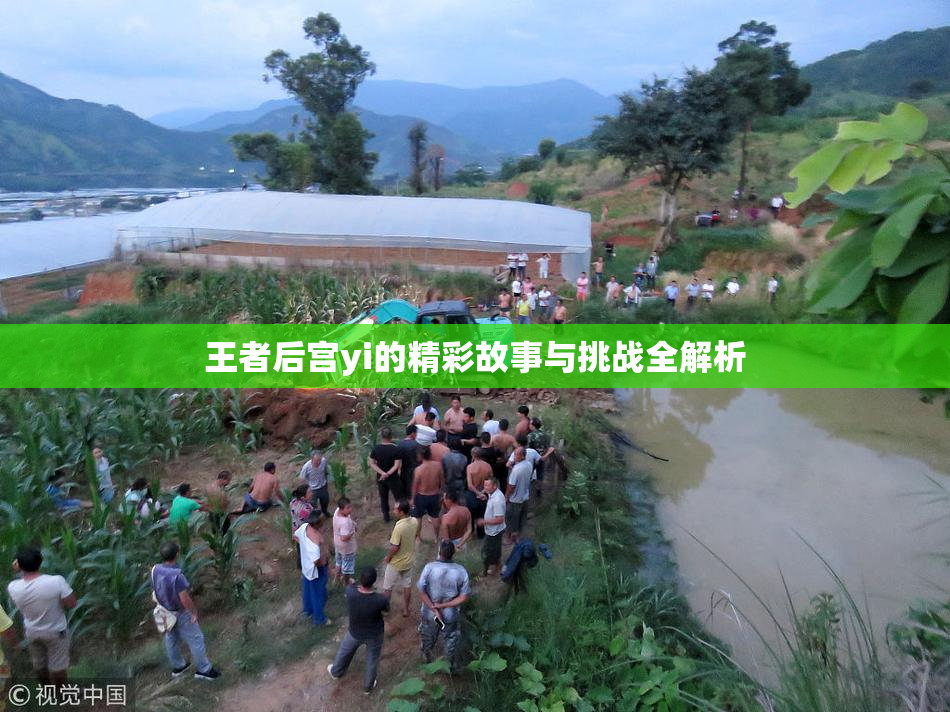 王者后宫yi的精彩故事与挑战全解析