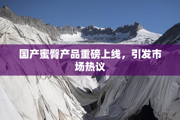 国产蜜臀产品重磅上线，引发市场热议