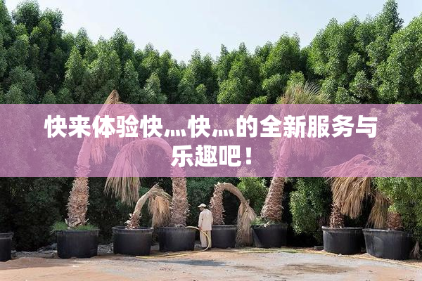 快来体验快灬快灬的全新服务与乐趣吧！