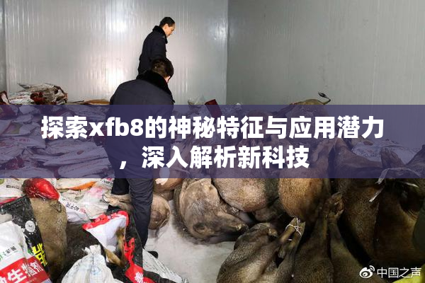 探索xfb8的神秘特征与应用潜力，深入解析新科技