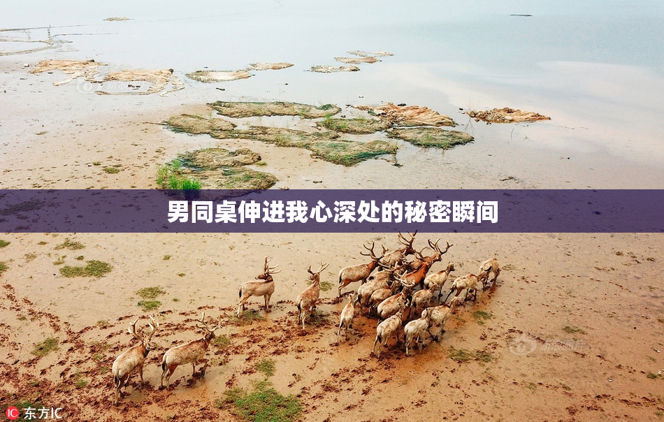 男同桌伸进我心深处的秘密瞬间