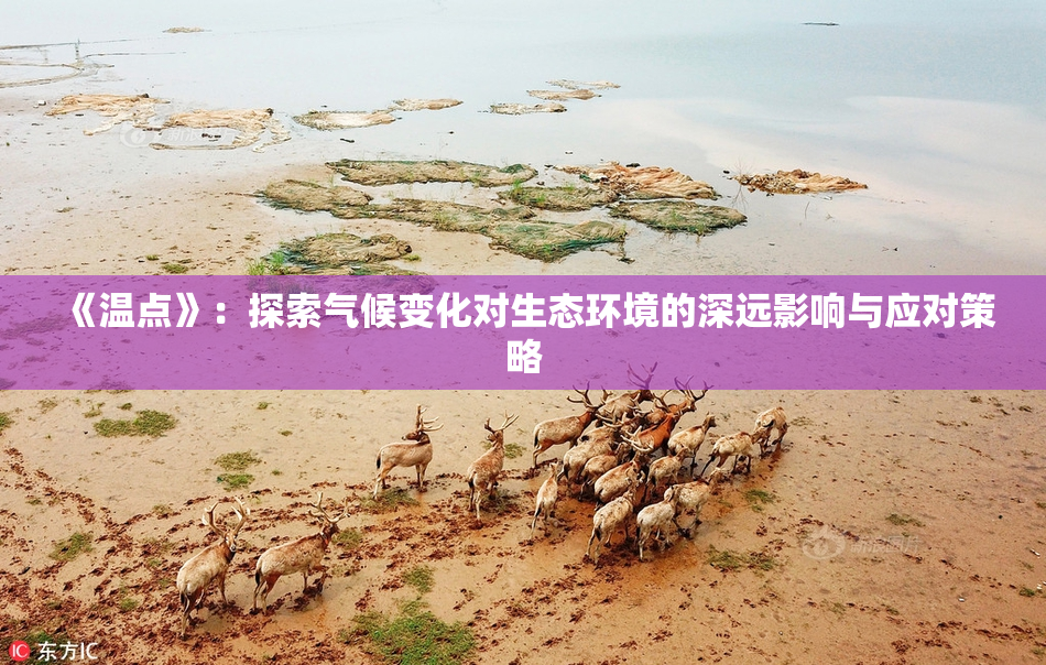 《温点》：探索气候变化对生态环境的深远影响与应对策略