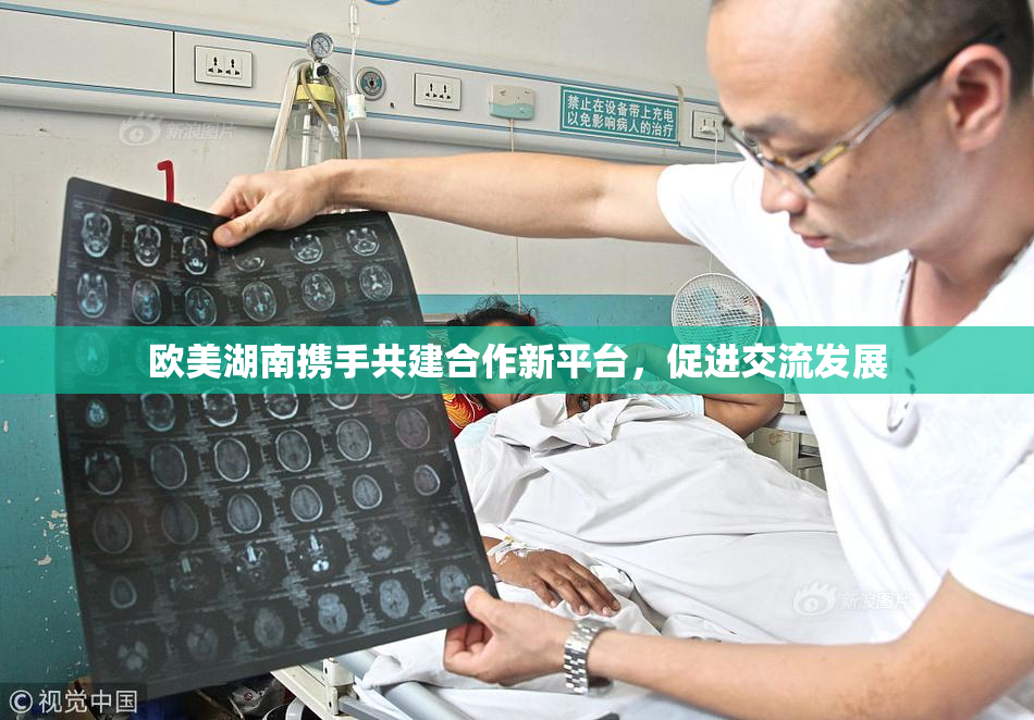 欧美湖南携手共建合作新平台，促进交流发展