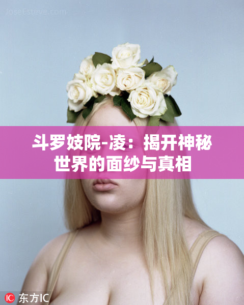 斗罗妓院-凌：揭开神秘世界的面纱与真相