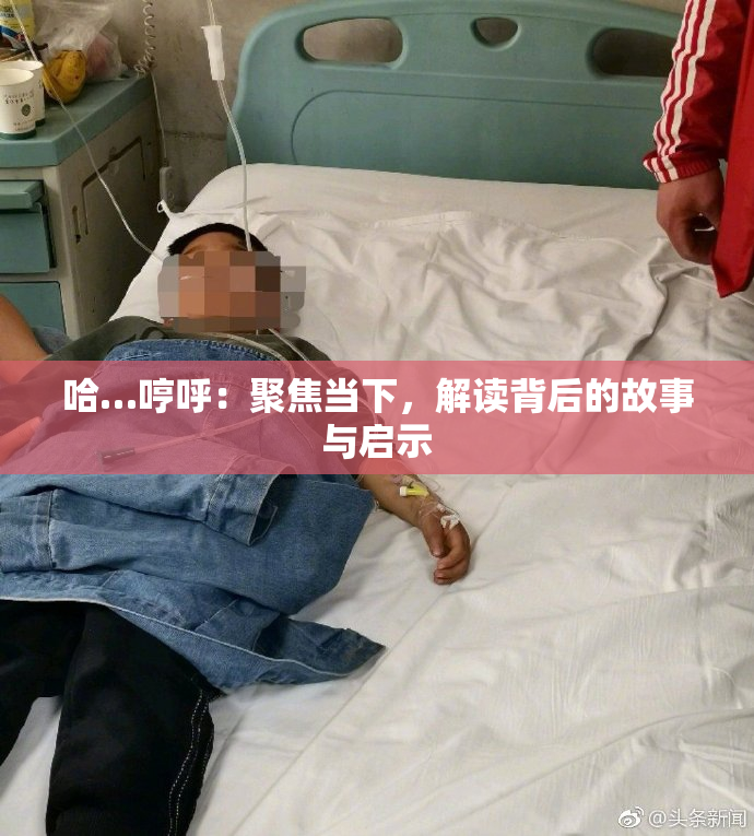 哈…哼呼：聚焦当下，解读背后的故事与启示