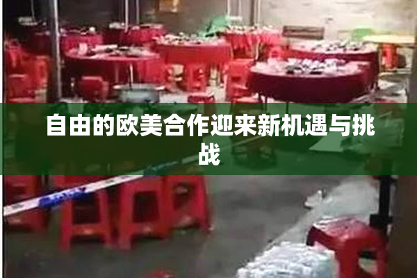 自由的欧美合作迎来新机遇与挑战