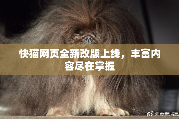 快猫网页全新改版上线，丰富内容尽在掌握