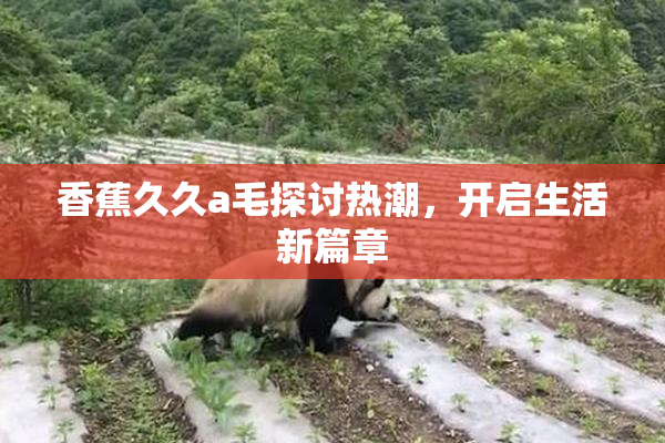 香蕉久久a毛探讨热潮，开启生活新篇章