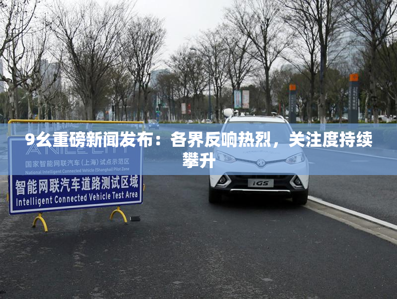 9幺重磅新闻发布：各界反响热烈，关注度持续攀升