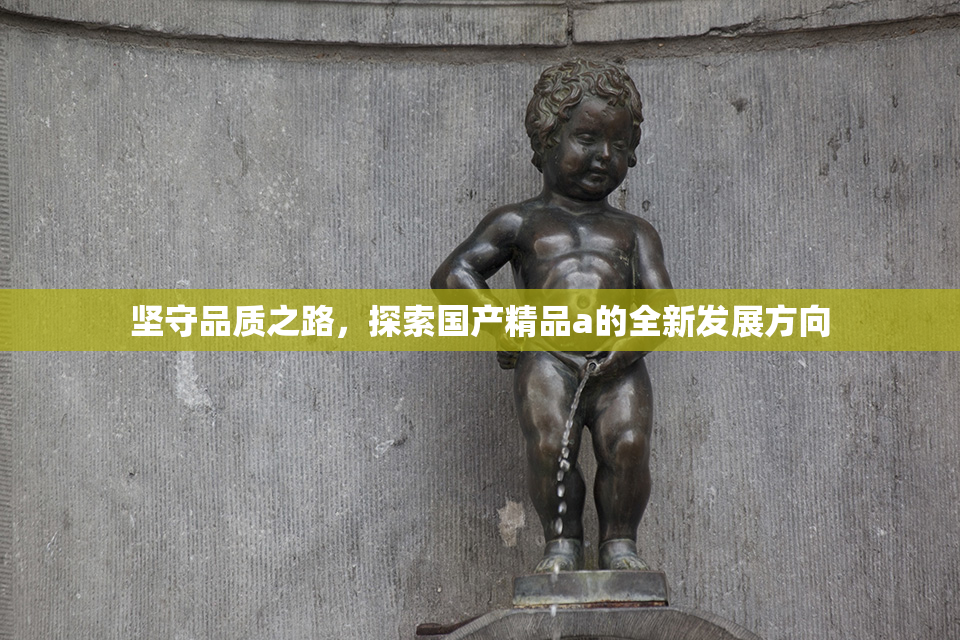 坚守品质之路，探索国产精品a的全新发展方向