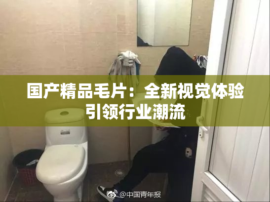 国产精品毛片：全新视觉体验引领行业潮流