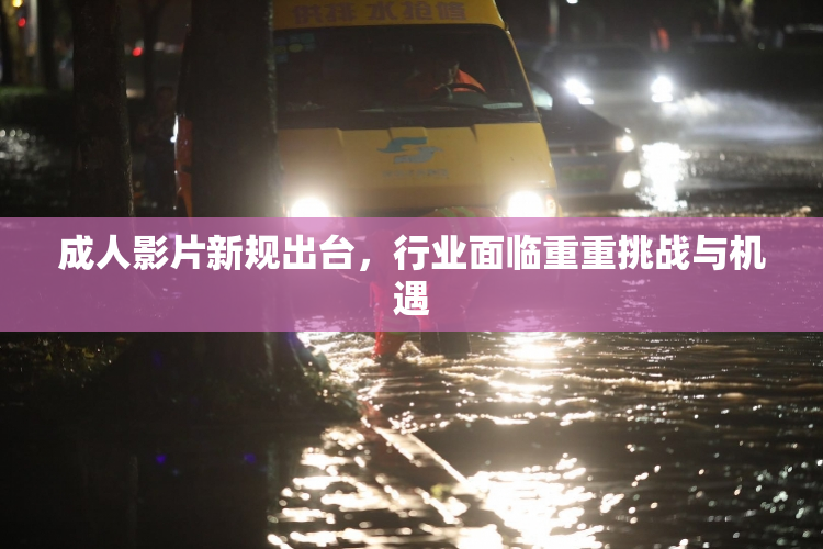 成人影片新规出台，行业面临重重挑战与机遇
