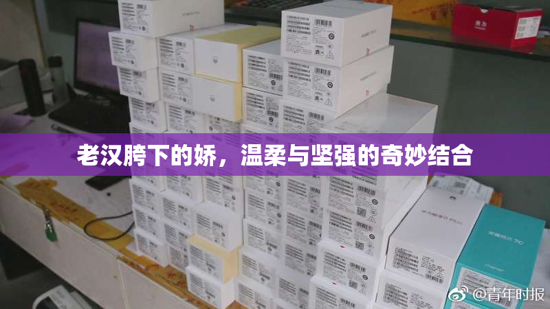 老汉胯下的娇，温柔与坚强的奇妙结合
