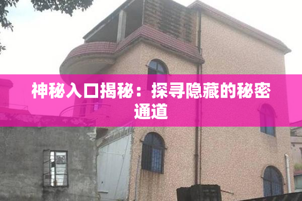 神秘入口揭秘：探寻隐藏的秘密通道