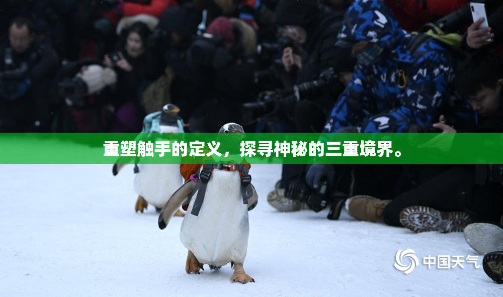 重塑触手的定义，探寻神秘的三重境界。