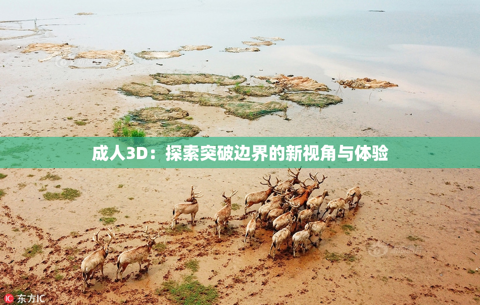 成人3D：探索突破边界的新视角与体验