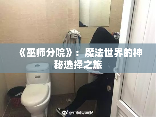 《巫师分院》：魔法世界的神秘选择之旅