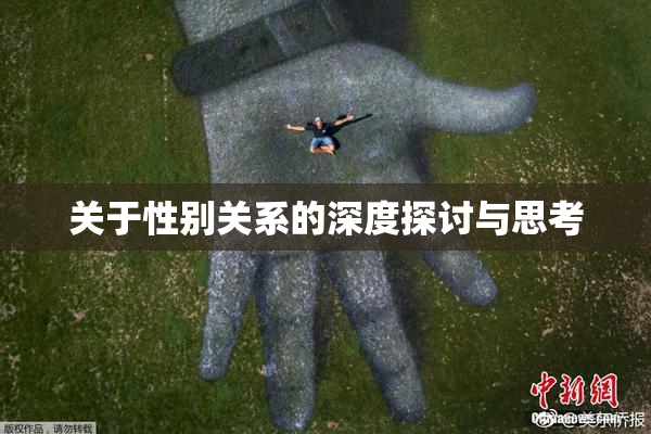 关于性别关系的深度探讨与思考