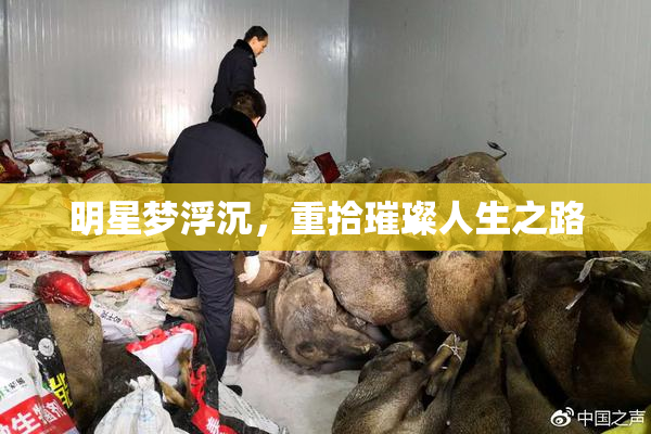 明星梦浮沉，重拾璀璨人生之路