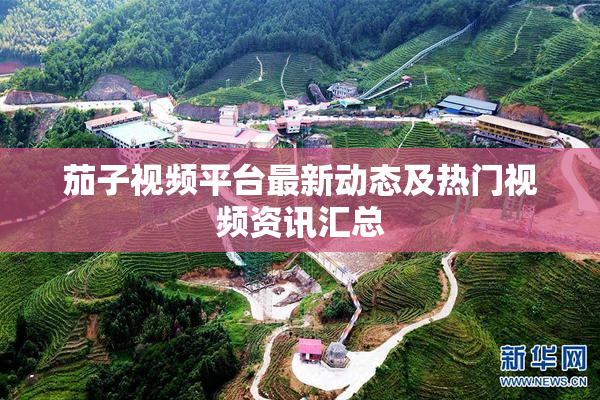 茄子视频平台最新动态及热门视频资讯汇总