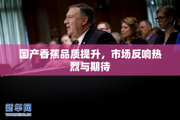 国产香蕉品质提升，市场反响热烈与期待