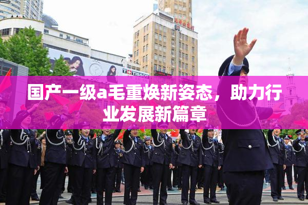 国产一级a毛重焕新姿态，助力行业发展新篇章