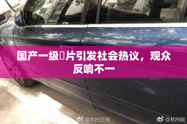 国产一级婬片引发社会热议，观众反响不一