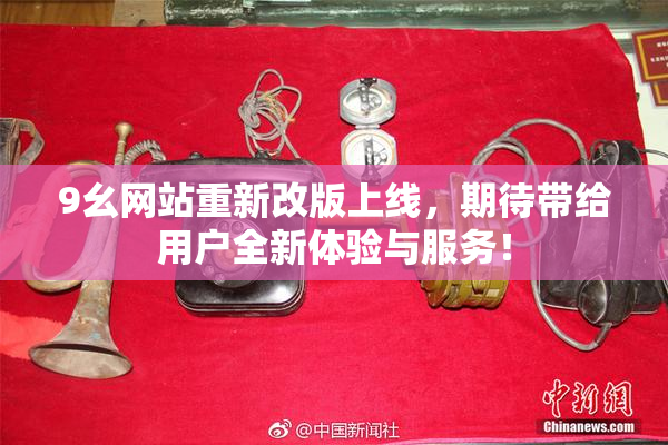 9幺网站重新改版上线，期待带给用户全新体验与服务！
