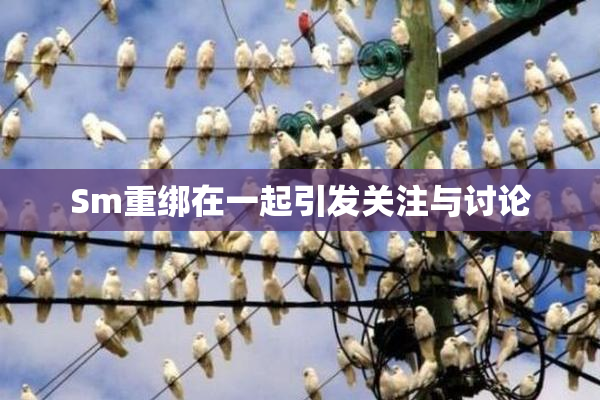 Sm重绑在一起引发关注与讨论