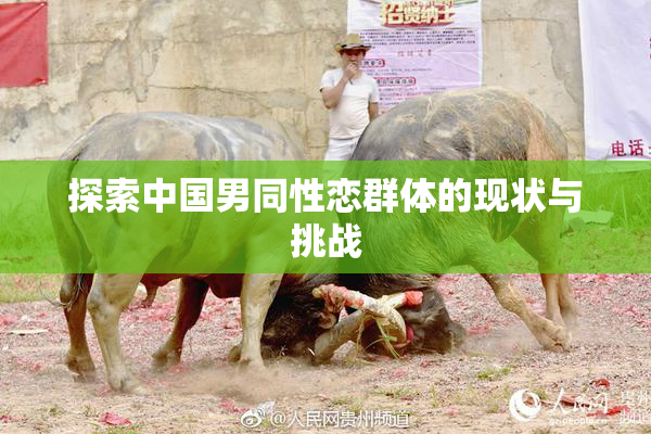 探索中国男同性恋群体的现状与挑战