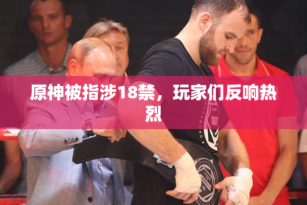 原神被指涉18禁，玩家们反响热烈