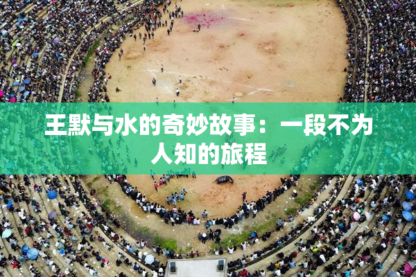 王默与水的奇妙故事：一段不为人知的旅程