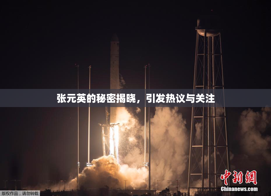张元英的秘密揭晓，引发热议与关注