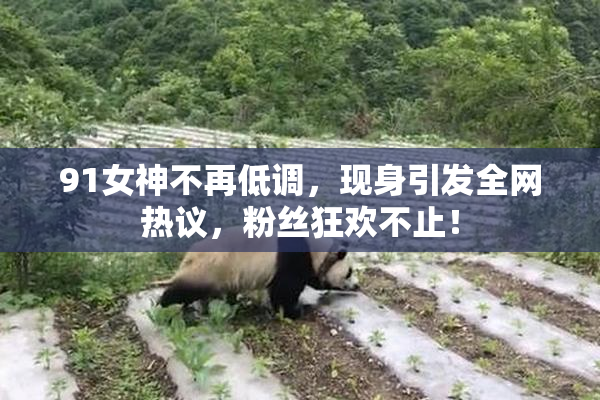 91女神不再低调，现身引发全网热议，粉丝狂欢不止！