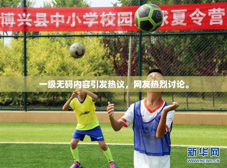 一级无码内容引发热议，网友热烈讨论。